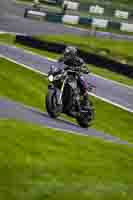 Evening Adv_Mid Group Silver_Grey Bikes